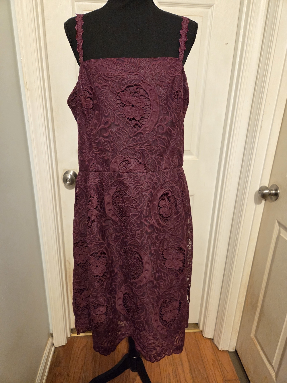 White House Black Market Plum Lace Midi Dress